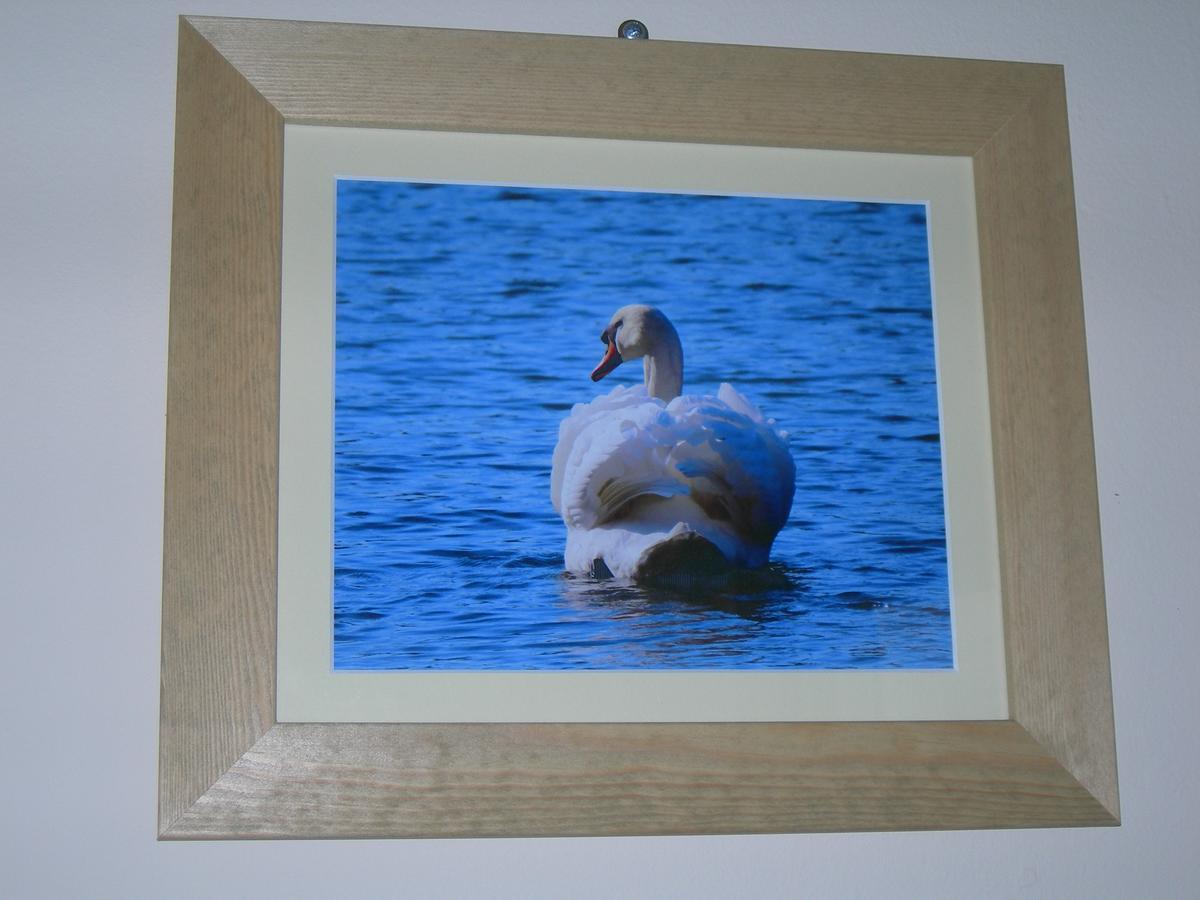 Locanda The Swan 3*